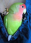 �����A�����������͏I���Ȃ́H