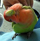 �����傫�傫�傫�傫��`�`�`