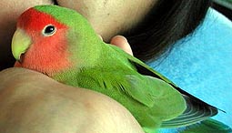 �v�X�ɁA�}�}�ƃl���l������B�B