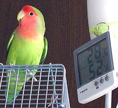 ���傤�ǉ߂����₷���ł���