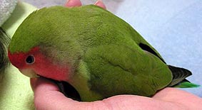 �Ȃ񂾂��I�l���ɂȂ��Ă�����������`�B�B