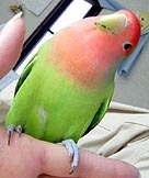 �����ς������A����łȂ��ł���H