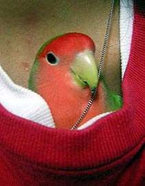 ���q�����A�A���Ă����ł�I