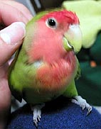 �ււ��A�X�b�L����