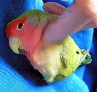 ����A������Ҕ�ꂿ������񂾂��B�B