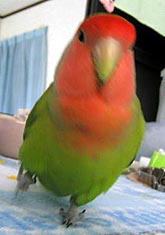 �����͒�����Z�����́`�I