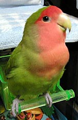 ����A������������I