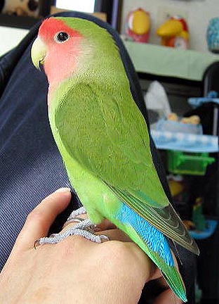 �ււ��A���܂��Ă�ł���H