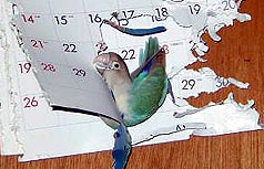 ��������ɂ́A�����Ȃ���悧�`�I