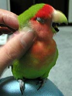 ���`��A�����͂����т��ł��Ⴄ��`�`�`