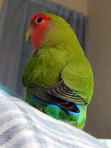 ������`�A�킩���Ă��Ȃ�C��t���Ă�ˁ`�I