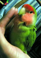 �����́A�y���������ˁ�