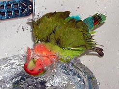 �����������`�I