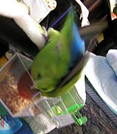 ��[���A�S�n�����S�n�����`��