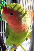 �܂܁A�Ȃ񂩓����Ă�E�E�E