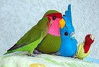 �˂˂��A�ڂ����e�����炢�A�ł������Ȃ�邩�Ȃ��H