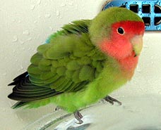 �ǁ[��������Ȃ��`�B�B