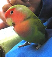 �J�L�J�L�A���������Ȃ��`