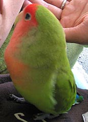 �҂��������񂾂��炟�`�B�B