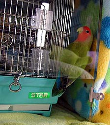 �ւ��`�A������������������