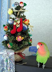 �ڂ��Ƃӂ��ˁ[�����̃c���[�Ȃ񂾂��