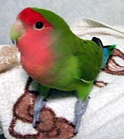 �܂܁`�A�ځ[���Ă��Ă�悧�`