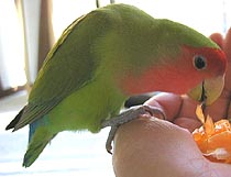 �݂���A�v���Ԃ�I