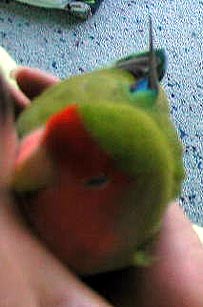 �܂܁A��������Ƀl���l�A�v���Ԃ肾�ˁ�