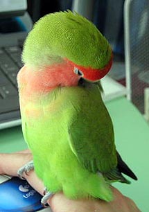 �ڂ����́`��т肵��`���Ɓ`