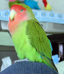 �ڂ����E�^�^�l���Ă�����`�m��Ȃ����`