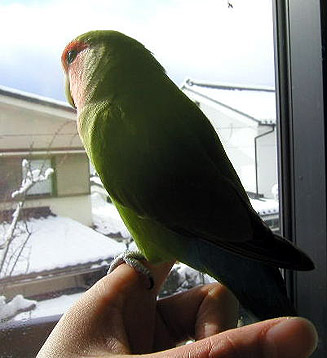 �ӂ����ˁ[�����A�����ς����Ă��ꂽ�˂��I