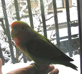 �܂��^�������˂��B�B