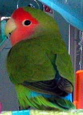 �������H�����Əo�����`��