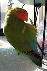 ���낢��Z�����񂾂悧�`