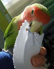 �}�}�A�����Ǝ����ĂĂ�`