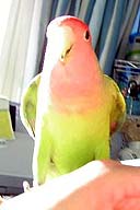 ���́A�����؂ɖ����Ȃ񂾂���I