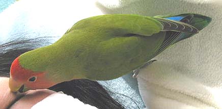 �}�}�`�A�������肵�Ă��������`