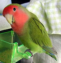 �}�}�A��������Ԃł����H