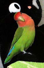 �݂�����A�撣���ĂˁI�W�W�Ƃ��F�肵�Ă��`