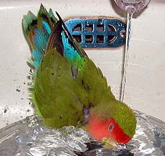 �����������`��