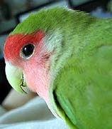 �߂��炵���A�h�A�b�v����