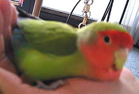 �����A�z�l�k�L�Ȃ񂾂��炟�`