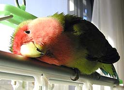 �������C���������́`