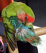 ���x�͓����ڂ�������