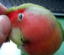 �E�L�E�L���Ă����Ⴄ��`