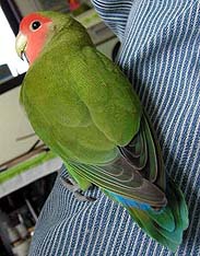 �ف`��A����������������`��