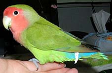 �����A���R�����ăo�I