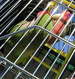 �v���Ԃ�Ƀh���C�u��