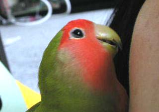 ���������A�܂܂��A��������ł��ォ�H