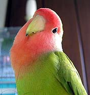 �}�}�A���������H